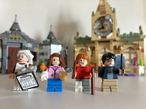 LEGO Harry Potter: Hogwarts Hospital Wing (76398) & Hagrid’s Hut (75947)