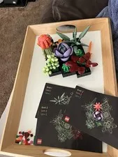 LEGO Botanicals: Succulents (10309)