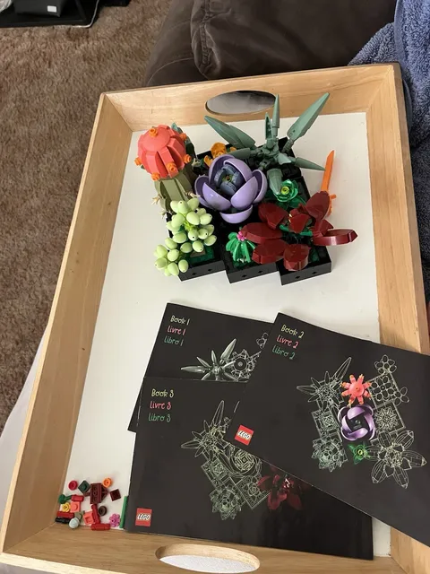 LEGO Botanicals: Succulents (10309)