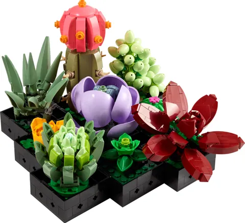 Fully Complet LEGO Botanicals: Succulents (10309), Good Condition, no box