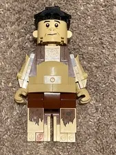 Lego Harry Potter Grawp Big Fig! 75967 MISSING PEICES!!!