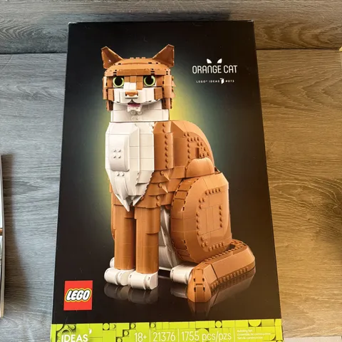 Lego 21376 Ideas Orange Cat EMPTY BOX Just The Box And Manual.