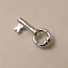 Lego x1 Silver Chrome Minifigure Utensil Key, 40359a (028-100)