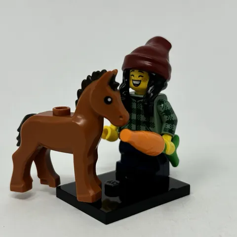 Lego Horse & Groom Minifigure Girl Collectible Series 22 CMF Complete w/ Carrot