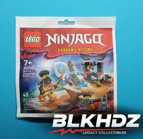 LEGO Ninjago Arin vs Dragonian Battle 30700 Dragons Rising Polybag Toy Lot
