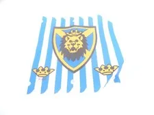 Lion, Crown, and Shield Cloth Hanging part x58px1 from set 6098
