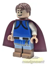 lego Disney Minifigure Prince Florian dis135 43222 43242