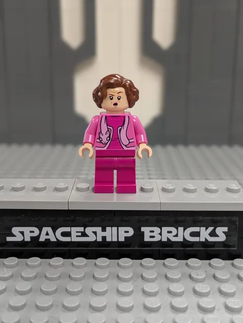 Professor Dolores Umbridge CAT SCARF 76403 Harry Potter LEGO Minifigure Figure