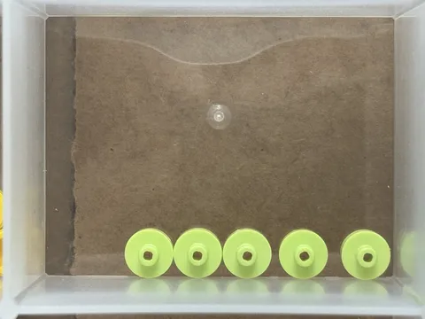 LEGO Parts - Yellowish Green Tile, Round 1 x 1 Bar Pin Hole - No 20482 - QTY 5