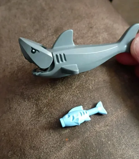 Lego Printed Eyes Shark And Bait Fish