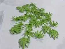 Lego Palm Tree Leaves Lime Green  X36