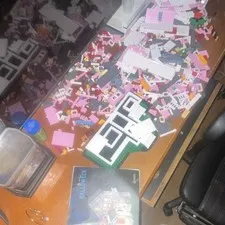 LEGO Bulk Lot Mixed Bricks Pieces from the Caroline haunted house set(AS IS )