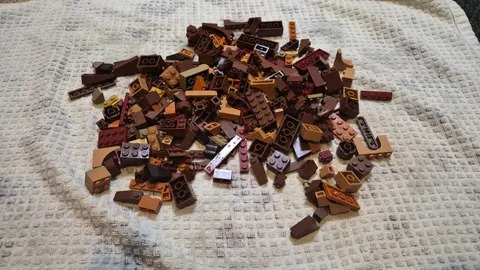 LEGO Bulk Lot Brown Tan Orange Earth Tones Bricks Plates Slopes Parts MOC
