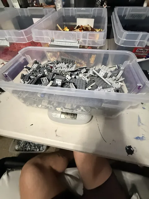 LEGO Light & Dark Gray Bulk Parts Lot – 2 lbs 