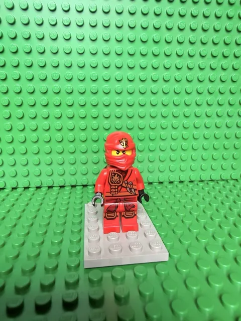 LEGO NINJAGO | Tournament of Elements Jungle Robe Kai NJO0121 | 2015 |