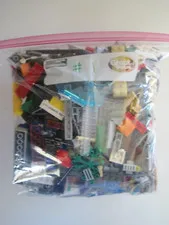 Lego Assortment 1 Gallon Baggy 2 Lbs