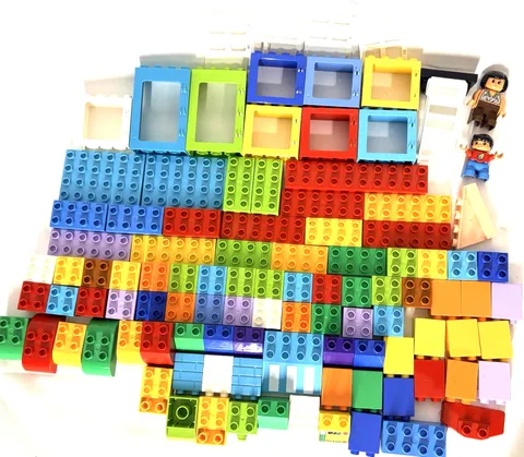 LEGO Duplo Mixed Building Blocks Lot Figures Windows Door Baseplate 100+ Pcs