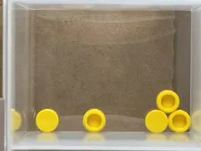 LEGO Parts - Yellow Tile, Round 1 x 1 - No 98138 - QTY 5