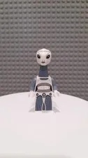 Lego Star Wars Taun We #sw1216