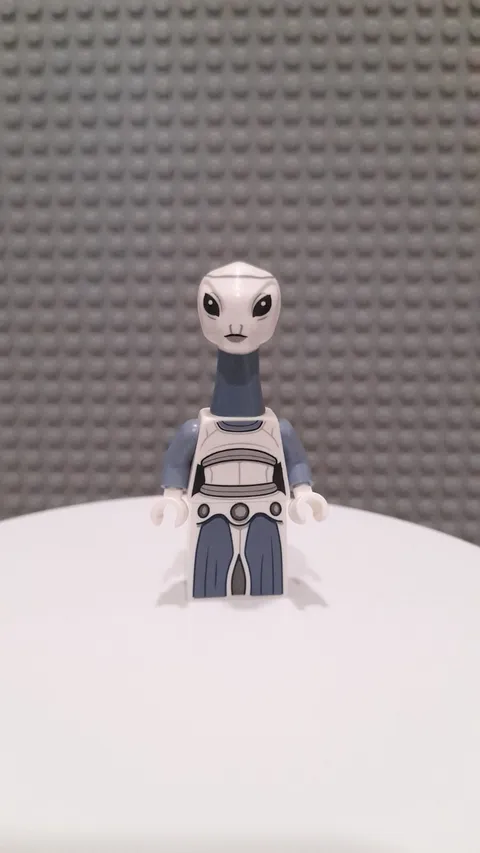 Lego Star Wars Taun We #sw1216