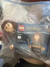 LEGO Harry Potter: Harry Potter and Hermione Granger set 76393