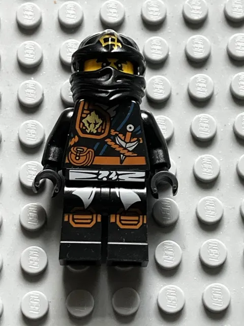 LEGO NINJAGO Cole (Jungle Robe) Minifigure