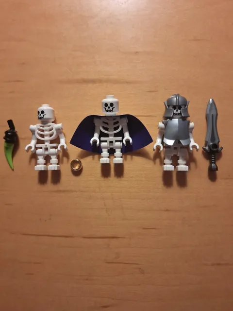 LEGO Minifigure Colin The Fighter & Skeletons 21348 Ideas Dungeons & Dragons