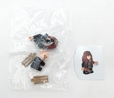 LEGO Harry Potter Advent Calendar Set 76390 Subset Day 20 Hermione Granger 2021