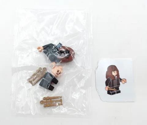 LEGO Harry Potter Advent Calendar Set 76390 Subset Day 20 Hermione Granger 2021