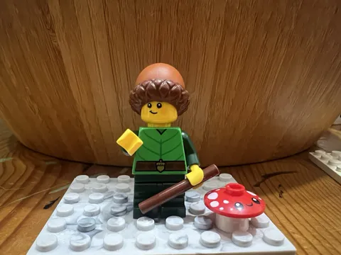Lego Minifigure Series 22 Acorn Forest Boy 71032 CMF See Details.