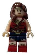 Lego Wonder Woman Dawn of Justice Super Heroes Minifigure