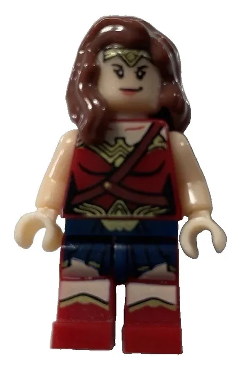 Lego Wonder Woman Dawn of Justice Super Heroes Minifigure