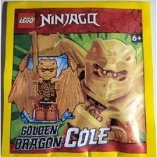 Lego Ninjago Golden Dragon Cole paper bag 892304
