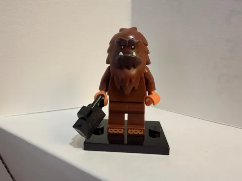 LEGO Square Foot Minifigure 71070 Series 14 - Complete - Condition is Good