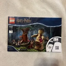 LEGO Instruction Manual 75967 Harry Potter Umbridge's Encounter