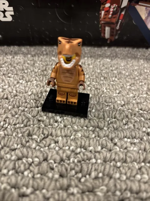 LEGO Series 24 CMF 71037 T-Rex Costume Fan