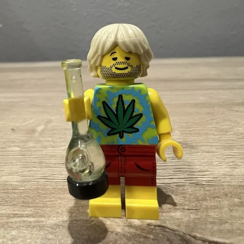 LEGO Citizen Brick Botany Enthusiast 2018 Custom Minifigure