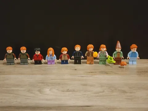LEGO 76437 The Burrow Collector’s Edition – Full Set of 10 Minifigures | NEW