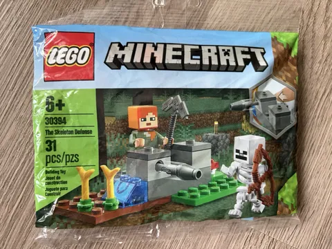 LEGO Minecraft: The Skeleton Defense (30394)