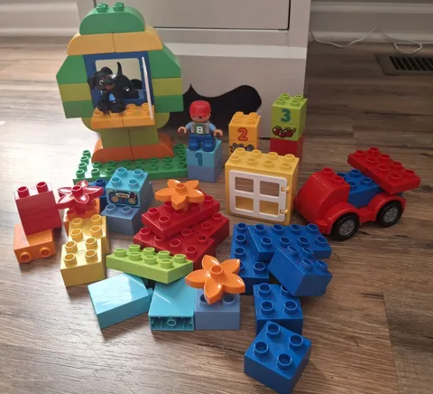 Lego DUPLO # 10572 All-In-One Box of Fun Black Dog & Boy No Box or Instructions 