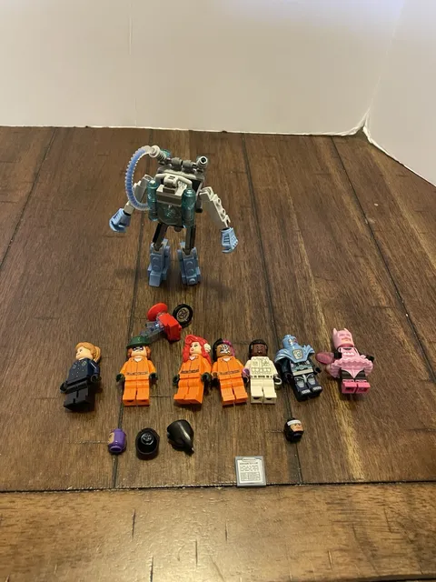 LEGO 70912 Arkham Asylum Batman Movie Minifigure coltlbm03 Fairy Lot Poison Ivy