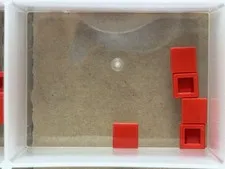 LEGO Parts - Red Tile 1 x 1 - No 3070 - QTY 5