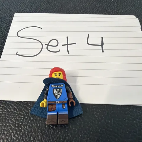Lego Mini Figure 2023 Collectible Series 24 Falconer No. 5 from Set #71037