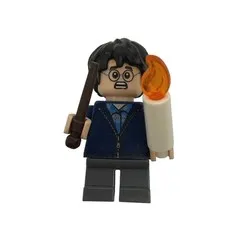 LEGO Harry Potter Minifigure Dark Blue Hoodie Wand and Candle Aragog  Lair