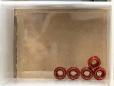 LEGO Parts - Dark Red Plate, Round 1 x 1 with Open Stud - No 85861 - QTY 5
