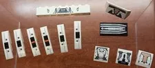 LEGO Icons: Horizon Forbidden West Tallneck 76989 (12 Stickered elements only)