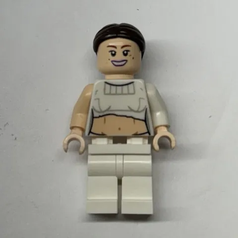 Lego Padmé Amidala - Geonosis Arena sw0490