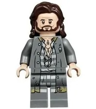 LEGO Harry Potter Sirius Black Minifigure from 75945