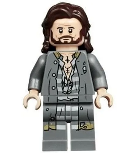 LEGO Harry Potter Sirius Black Minifigure from 75945