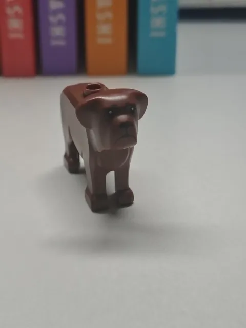 Fang The Dog Minifigure | LEGO Harry Potter #76428 Hagrid's Hut | TZ